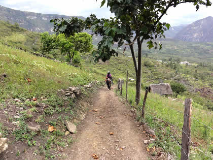 CAMINATA COCACHIMBA-GOCTA-COCACHIMBA 95