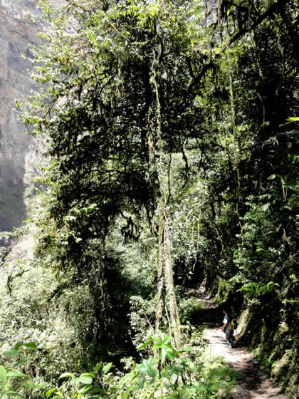 CATARATA DE GOCTA 13