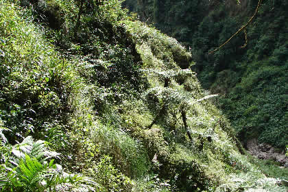 CATARATA DE GOCTA 20