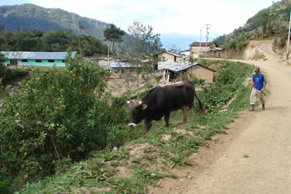 RUTA CHACANTO-LEYMEBAMBA 74