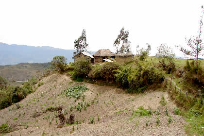 CHACHAPOYAS-CHACANTO-CAJAMARCA 19