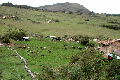 CHACHAPOYAS-CHACANTO-CAJAMARCA 25