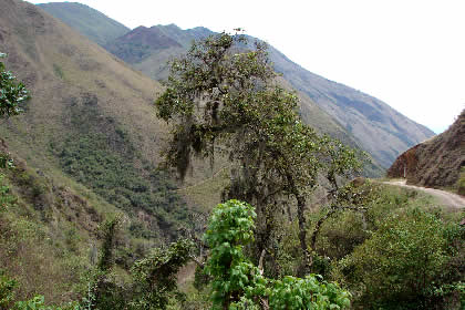 CHACHAPOYAS-CHACANTO-CAJAMARCA 46