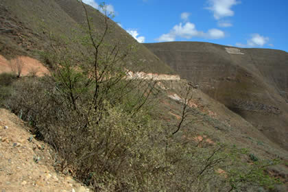 RUTA CHACHAPOYAS-LUYA 04