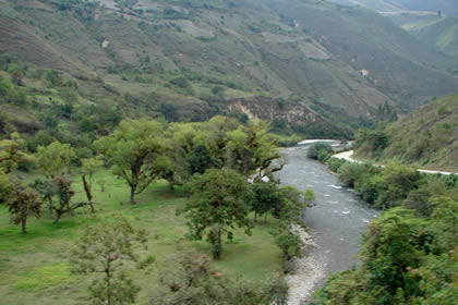 CHILINGOTE-SAMANGA-LUCMILLAS-LIMATAMBO 04