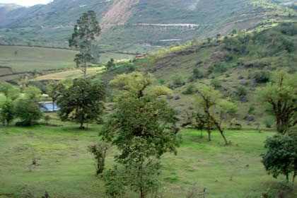 CHILINGOTE-SAMANGA-LUCMILLAS-LIMATAMBO 05