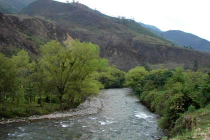 CHILINGOTE-SAMANGA-LUCMILLAS-LIMATAMBO 06