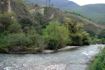 CHILINGOTE-SAMANGA-LUCMILLAS-LIMATAMBO 07