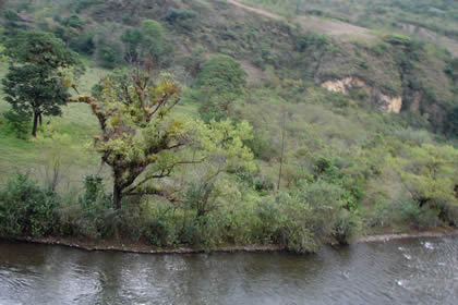 CHILINGOTE-SAMANGA-LUCMILLAS-LIMATAMBO 08