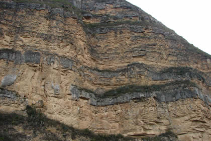 CHILINGOTE-SAMANGA-LUCMILLAS-LIMATAMBO 10