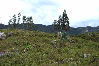 RUTA DE RETORNO COCACHIMBA-CHACHAPOYAS 01