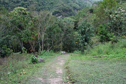 CABAITA LA GOLONDRINA 03