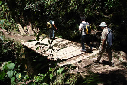 CABAITA LA GOLONDRINA 08