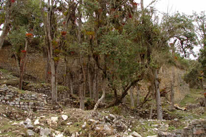 COMPLEJO ARQUEOLOGICO MONUMENTAL KUELAP - GRAN MURALLA EXTERNA PUEBLO ALTO 01