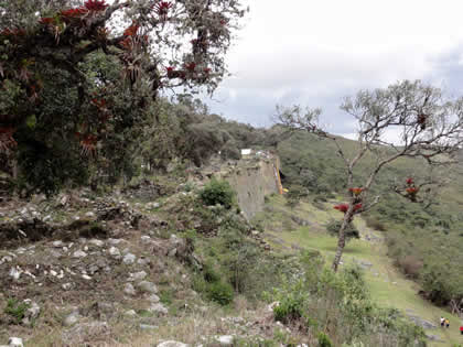 COMPLEJO ARQUEOLOGICO MONUMENTAL KUELAP - SECTOR CENTRO Y NORTE 05