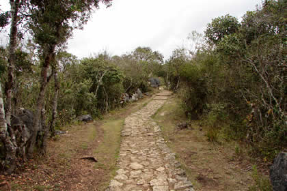 COMPLEJO ARQUEOLOGICO MONUMENTAL KUELAP - ESTACIONAMIENTO 15