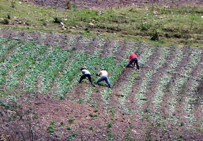 CAMINATA A LOS SARCOFAGOS DE KARAJIA 05