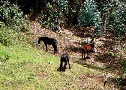 CAMINATA A LOS SARCOFAGOS DE KARAJIA 06