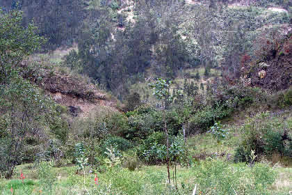 CAMINATA REGRESO DE LOS SARCOFAGOS DE KARAJIA 16