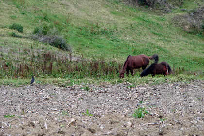 CAMINATA REGRESO DE LOS SARCOFAGOS DE KARAJIA 17