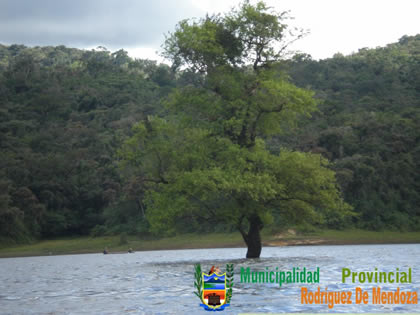 LAGUNA ESTACIONAL DE HUAMANPATA 07