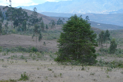 RUTA LAMUD - PUEBLO DE MUERTOS 07