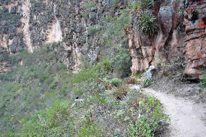 CAMINATA HACIA PUEBLO DE MUERTOS 21