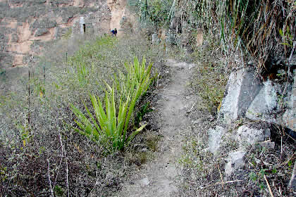 CAMINATA DE REGRESO DE PUEBLO DE MUERTOS 26