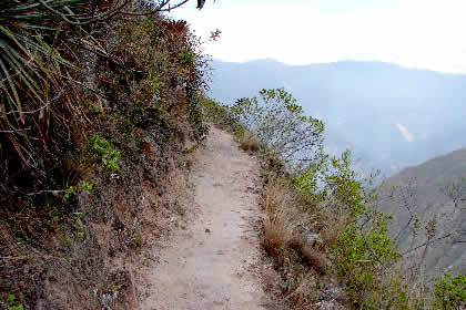 CAMINATA DE REGRESO DE PUEBLO DE MUERTOS 29