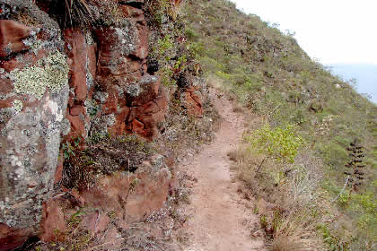 CAMINATA DE REGRESO DE PUEBLO DE MUERTOS 30