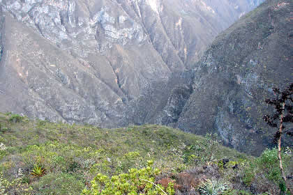 CAMINATA DE REGRESO DE PUEBLO DE MUERTOS 31