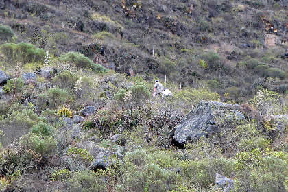 CAMINATA DE REGRESO DE PUEBLO DE MUERTOS 32