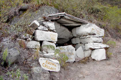 CAMINATA DE REGRESO DE PUEBLO DE MUERTOS 34