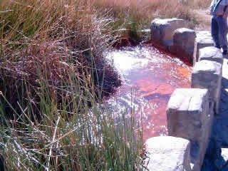 AGUA GASIFICADA