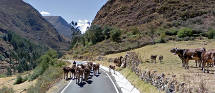 carretera a carcas 02