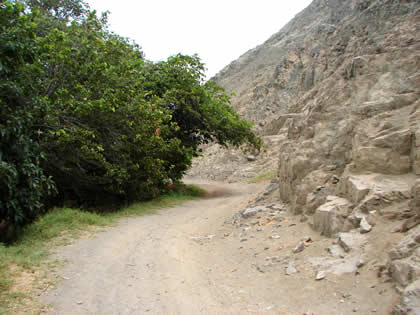 RIO Y VALLE DE HUARMEY 12