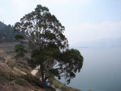 LAGUNA DE PACUCHA 16