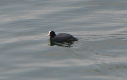 LAGUNA DE PACUCHA 25