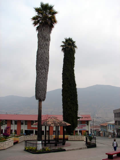 PLAZA DE ARMAS DE CURAHUASI 04