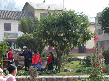 PLAZA DE ARMAS DE TALAVERA DE LA REYNA 11