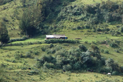 RUTA ABANCAY CURAHUASI 08