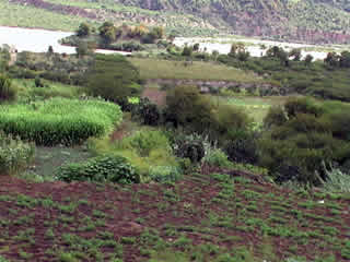 EL VALLE DEL RIO PAMPAS 02