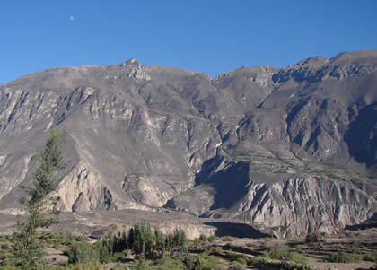 CAON DE COTAHUASI 03