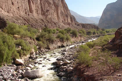 CAON DE COTAHUASI 30