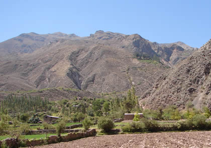 CAON DE COTAHUASI 37