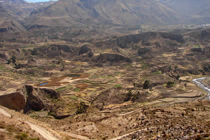 CAON DEL COLCA 05