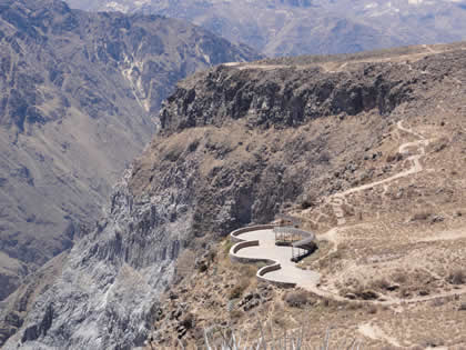 FLORA COLCA 01