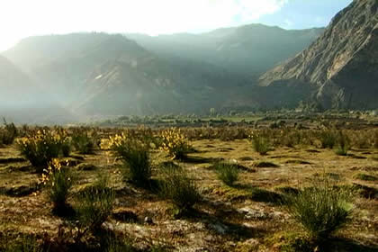 RETAMALES DE HUAYHUANCA Y BAOS TERMALES COE 01