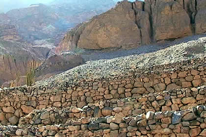 RUINAS DE HUA�A 05