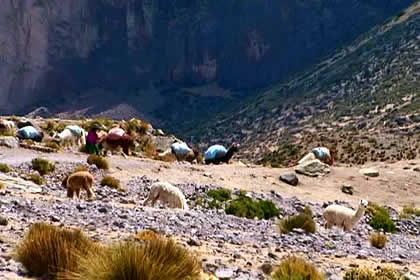 SUNI, MAGHUANCA, MIRADOR DE INCHUQUILLCA, HUACTAPA Y CHURCA 04